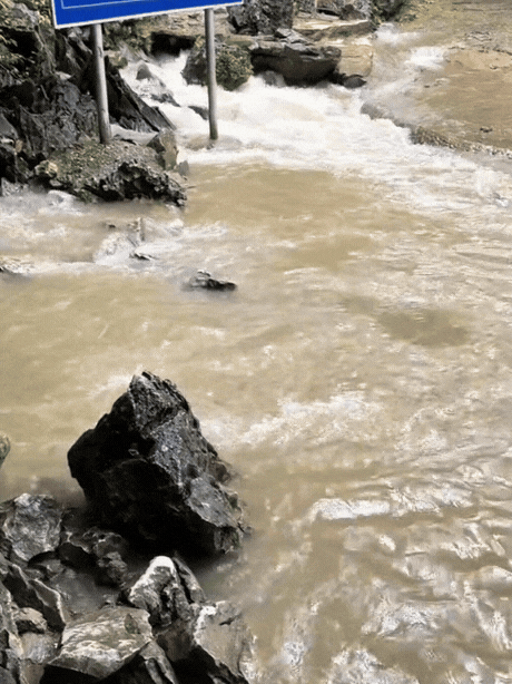 Hàng vạn người đổ về suối cá thần ở Thanh Hóa đầu năm mới bởi sức hút từ những câu chuyện huyền bí- Ảnh 5.