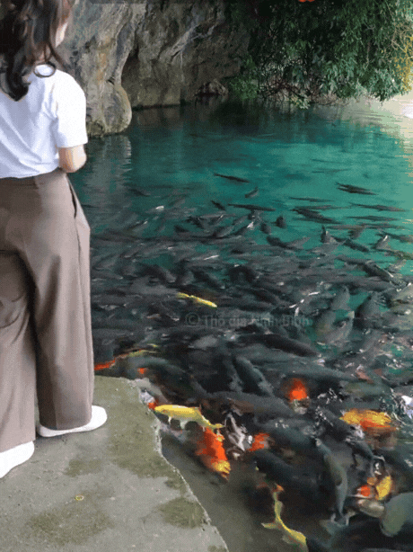 Hàng vạn người đổ về suối cá thần ở Thanh Hóa đầu năm mới bởi sức hút từ những câu chuyện huyền bí- Ảnh 12.