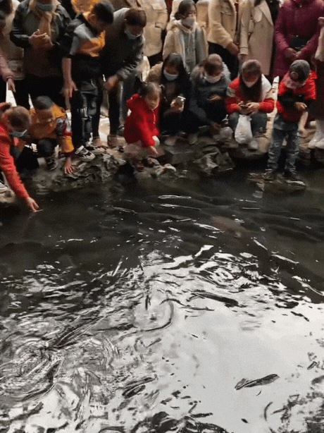 Hàng vạn người đổ về suối cá thần ở Thanh Hóa đầu năm mới bởi sức hút từ những câu chuyện huyền bí- Ảnh 10.