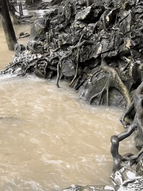 Hàng vạn người đổ về suối cá thần ở Thanh Hóa đầu năm mới bởi sức hút từ những câu chuyện huyền bí- Ảnh 7.