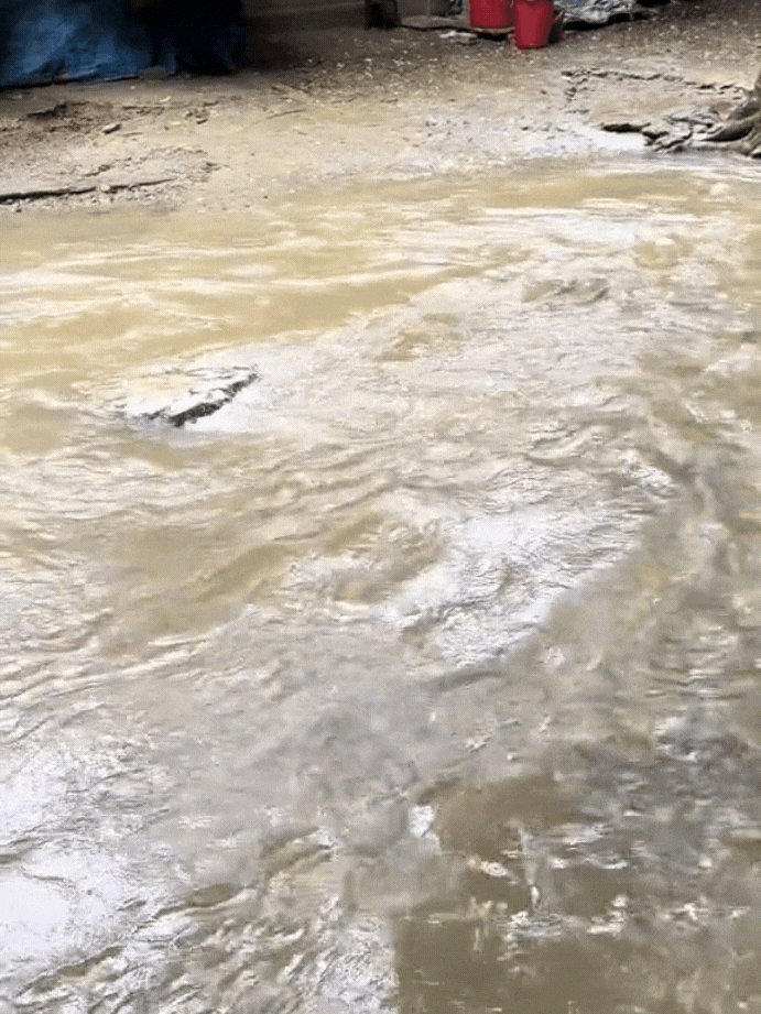 Hàng vạn người đổ về suối cá thần ở Thanh Hóa đầu năm mới bởi sức hút từ những câu chuyện huyền bí- Ảnh 6.