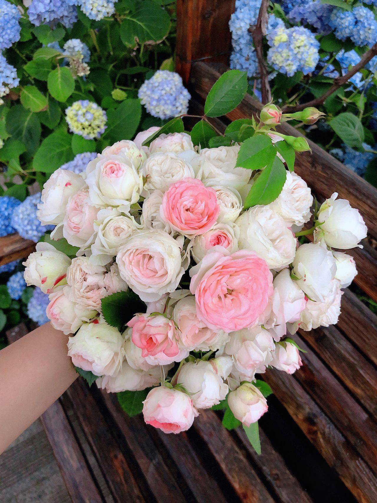 Mẹ đảm quy hoạch sân thượng thành khu vườn ngập tràn hoa và rau sạch tươi tốt quanh năm!- Ảnh 14. Mẹ đảm quy hoạch sân thượng thành khu vườn ngập tràn hoa và rau sạch tươi tốt quanh năm!- Ảnh 14.