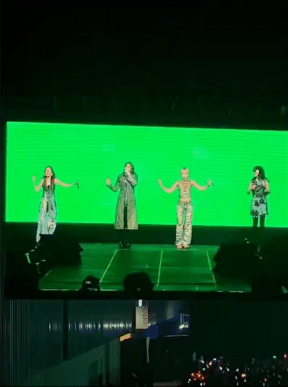 Thành viên “thư giãn” nhất 2NE1 tại Việt Nam: Lang thang trên sân khấu ...