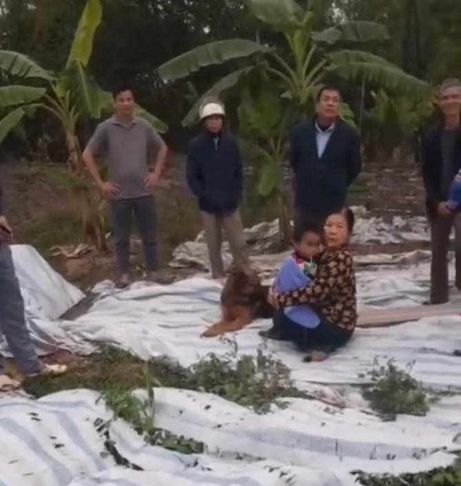 Vụ bé trai Hưng Yên đi lạc lúc 1h sáng được chú chó bảo vệ suốt đêm: Bố mẹ tiết lộ thông tin bất ngờ!- Ảnh 1. Vụ bé trai Hưng Yên đi lạc lúc 1h sáng được chú chó bảo vệ suốt đêm: Bố mẹ tiết lộ thông tin bất ngờ!- Ảnh 1.