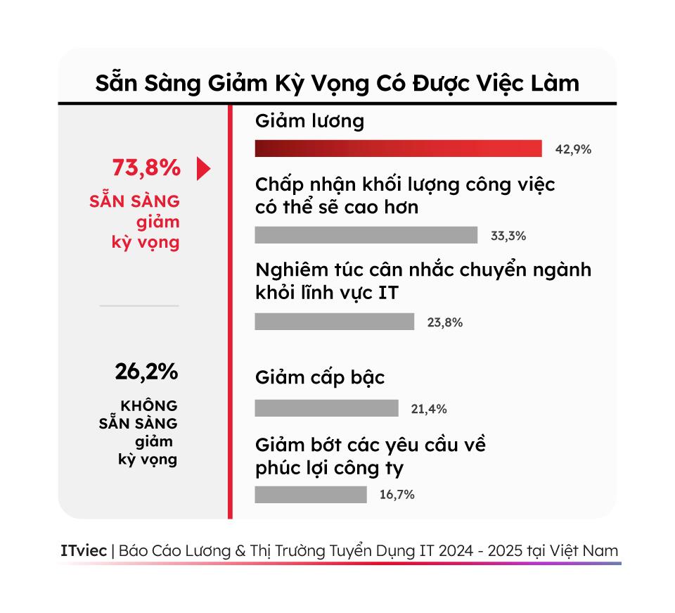 Thị trường tuyển dụng IT nửa đầu năm 2025 bắt đầu tiến vào chu kỳ ngừng phát triển- Ảnh 2.