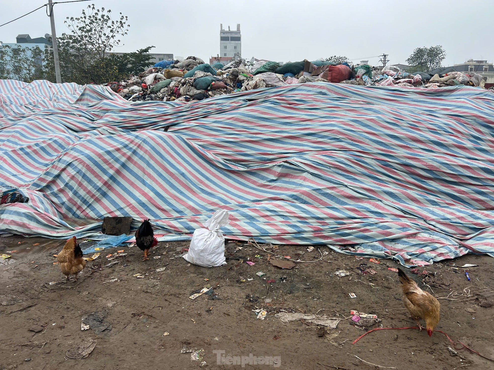 Hơn 40 tấn rác bánh kẹo vẫn chất cao như núi tại La Phù- Ảnh 7.