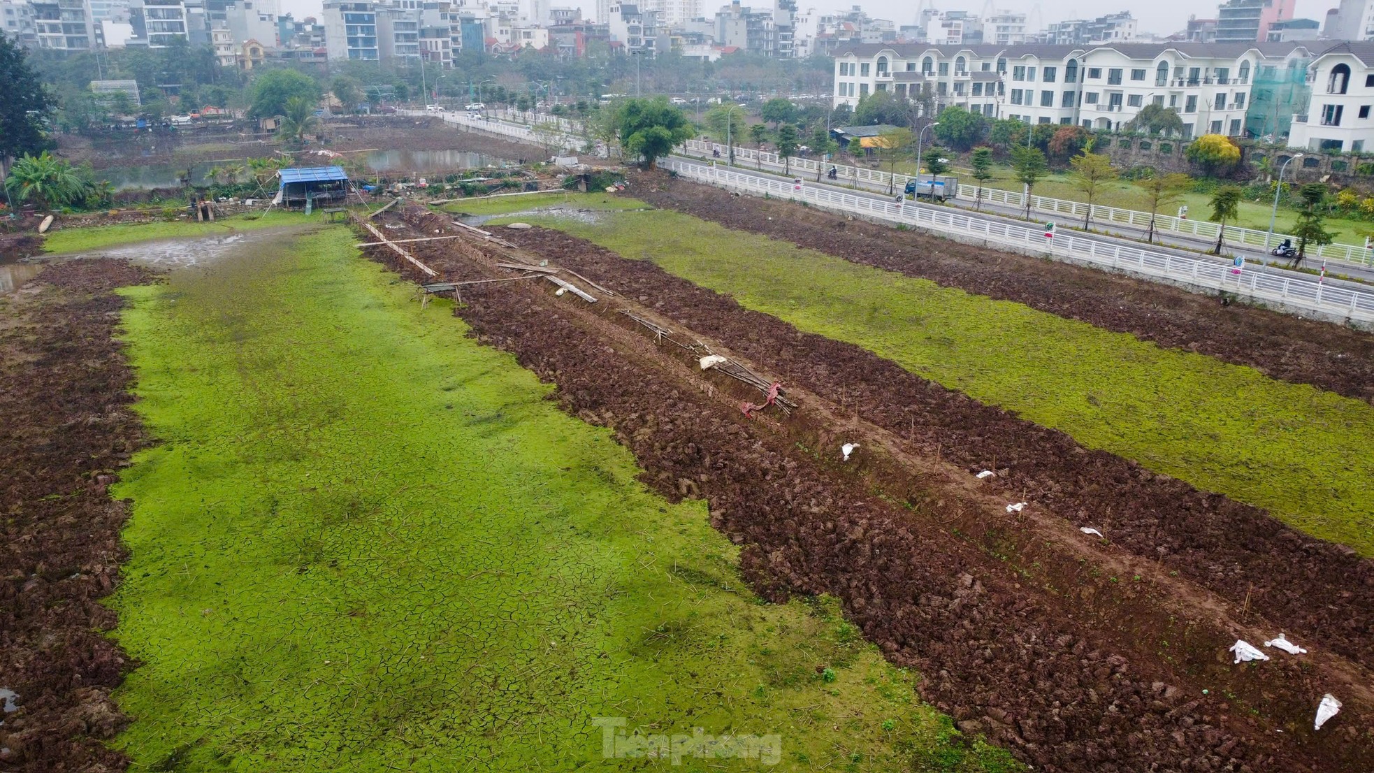 Cận cảnh hồ rộng hơn 5ha làm nơi lắng nước 'rửa' sông Tô Lịch- Ảnh 8.