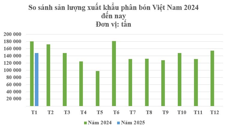 Lào mạnh tay săn lùng một mặt hàng của Việt Nam trong tháng 1: Xuất khẩu tăng hơn 200%, Campuchia, Hàn Quốc cũng đua nhau chốt đơn- Ảnh 2.