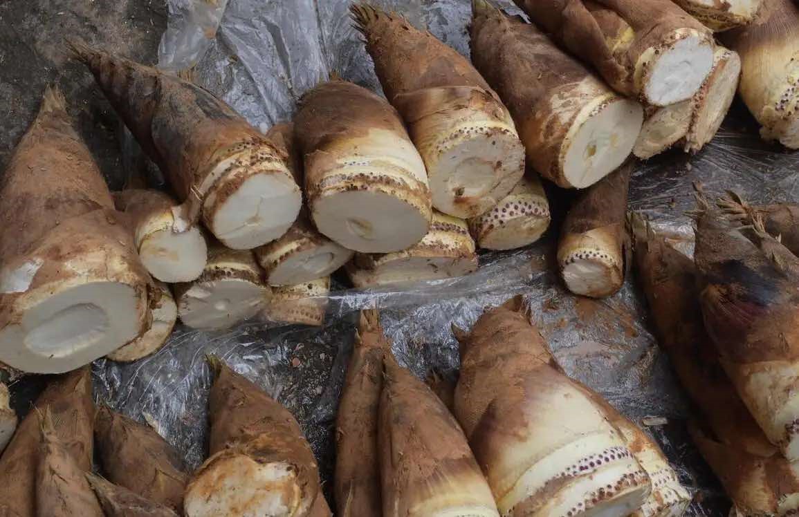 Có 6 loại rau mùa xuân cực ngon nhưng bạn nhất định phải chần trước khi nấu ăn: Rất nhiều người thường bỏ qua
- Ảnh 8.