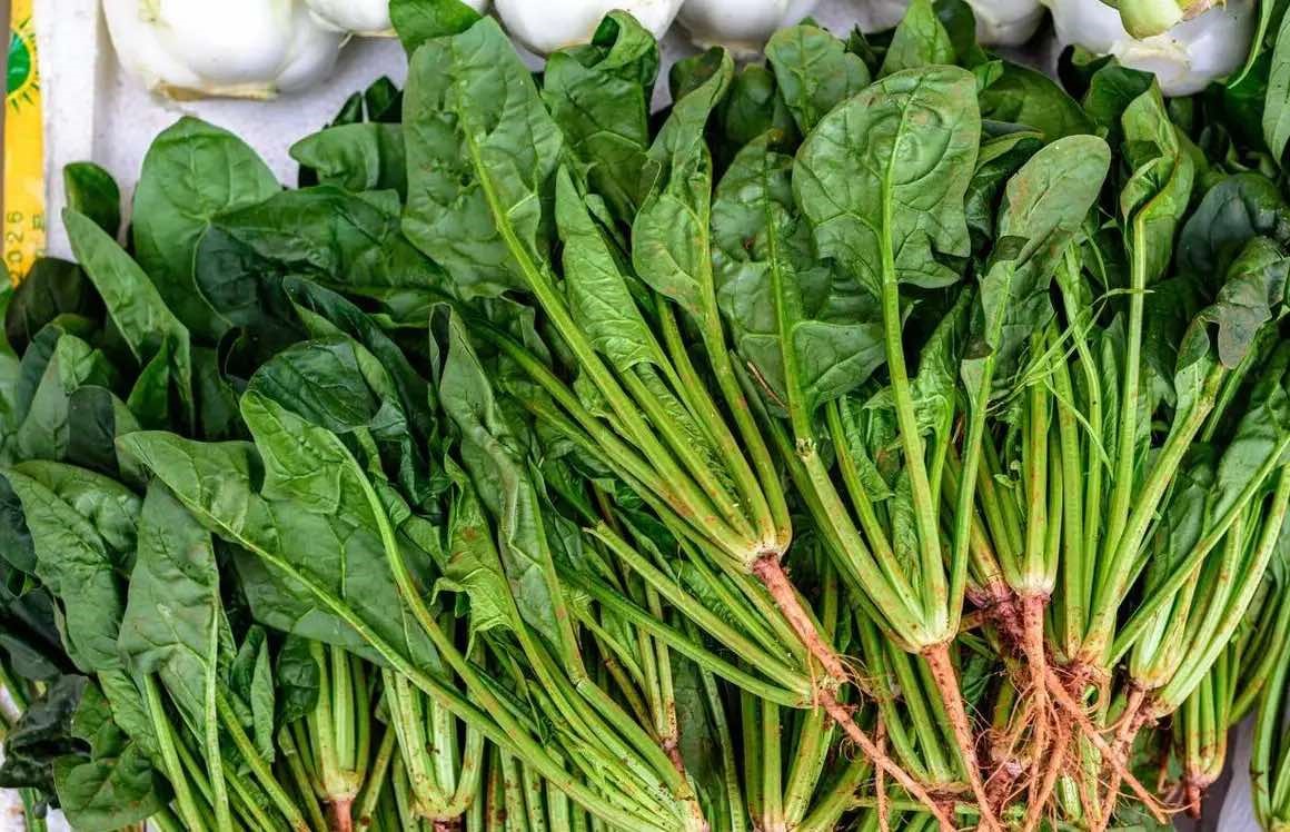 Có 6 loại rau mùa xuân cực ngon nhưng bạn nhất định phải chần trước khi nấu ăn: Rất nhiều người thường bỏ qua
- Ảnh 16.