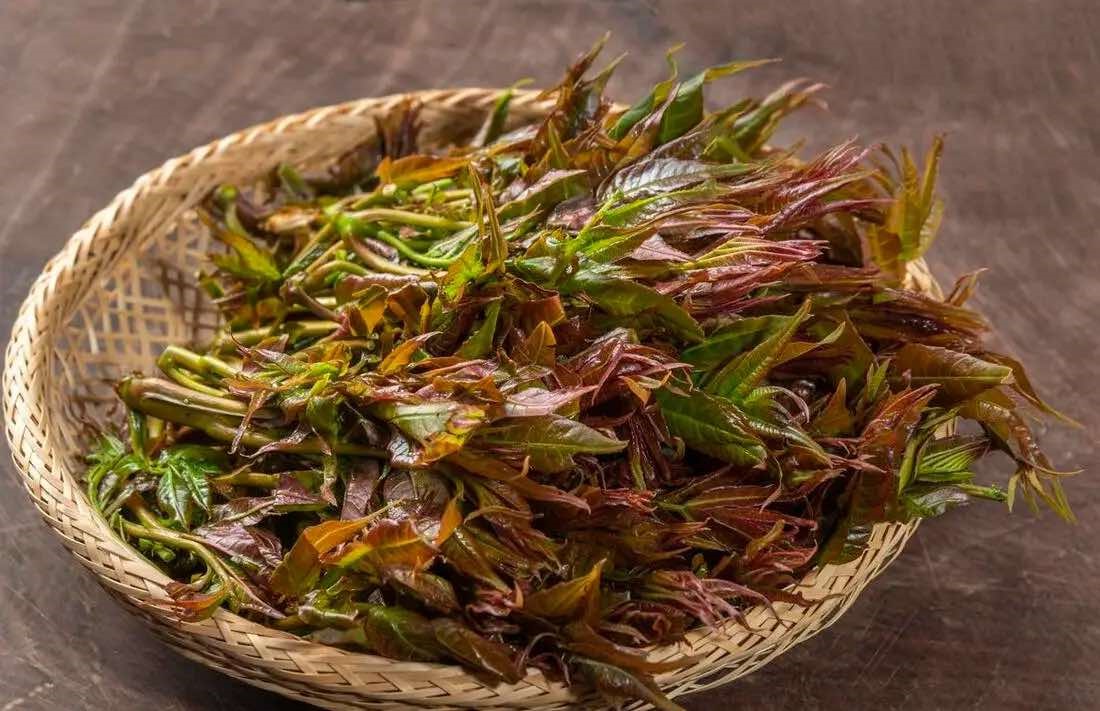 Có 6 loại rau mùa xuân cực ngon nhưng bạn nhất định phải chần trước khi nấu ăn: Rất nhiều người thường bỏ qua
- Ảnh 28.