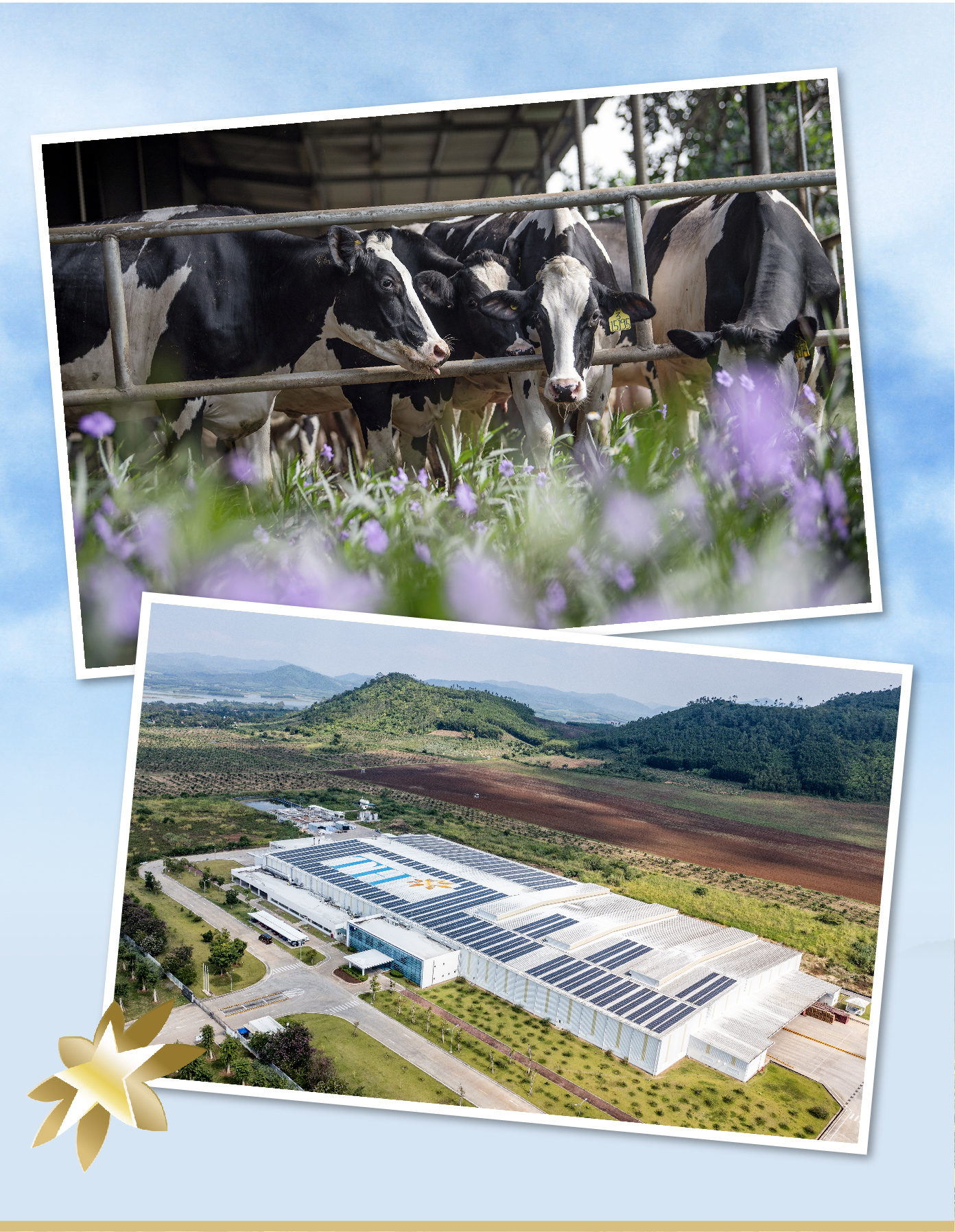 Tập đoàn TH: Tiên phong kinh tế tuần hoàn, cùng Việt Nam hướng đến Net Zero- Ảnh 2. Tập đoàn TH: Tiên phong kinh tế tuần hoàn, cùng Việt Nam hướng đến Net Zero- Ảnh 2.
