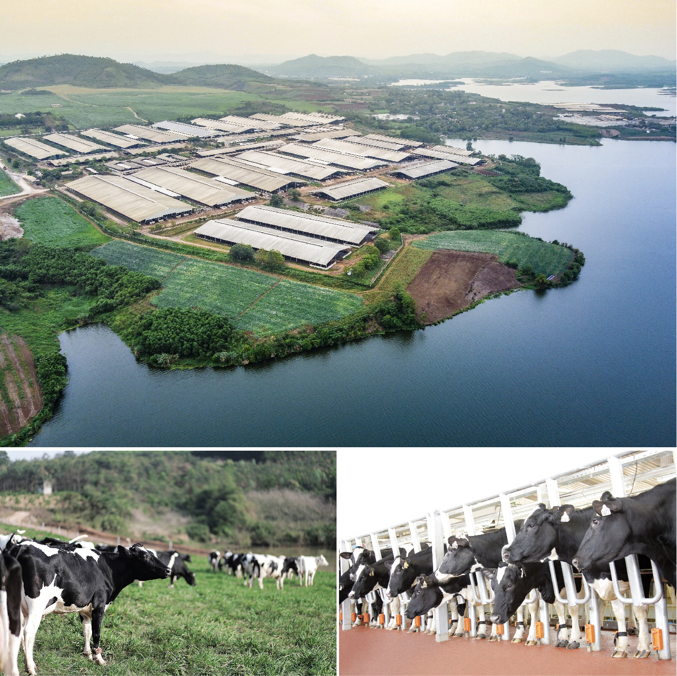 Tập đoàn TH: Tiên phong kinh tế tuần hoàn, cùng Việt Nam hướng đến Net Zero- Ảnh 5. Tập đoàn TH: Tiên phong kinh tế tuần hoàn, cùng Việt Nam hướng đến Net Zero- Ảnh 5.