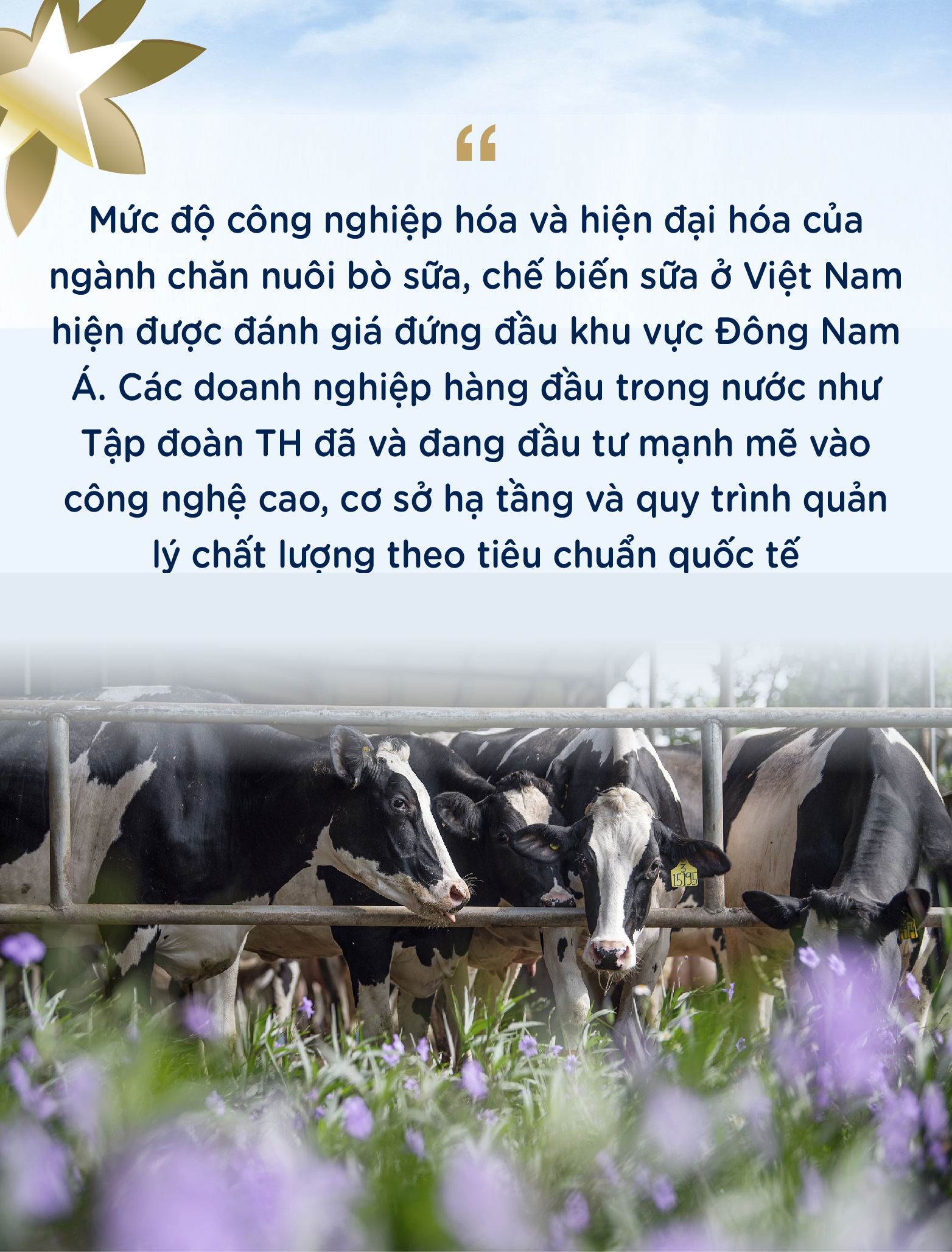 Tự chủ giống bò sữa, TH góp vai trò lớn giải bài toán khó của nông nghiệp Việt Nam- Ảnh 1. Tự chủ giống bò sữa, TH góp vai trò lớn giải bài toán khó của nông nghiệp Việt Nam- Ảnh 1.