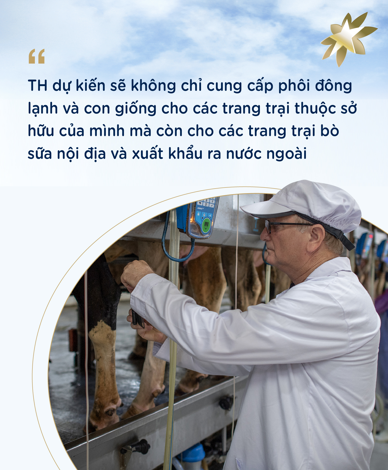 Tự chủ giống bò sữa, TH góp vai trò lớn giải bài toán khó của nông nghiệp Việt Nam- Ảnh 3. Tự chủ giống bò sữa, TH góp vai trò lớn giải bài toán khó của nông nghiệp Việt Nam- Ảnh 3.
