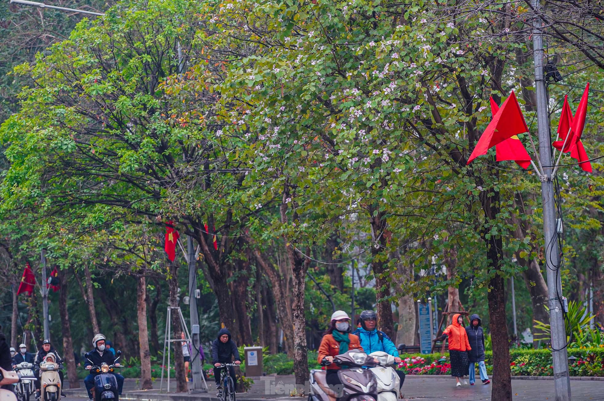 Có một Hà Nội 'mơ màng' trong làn mưa bụi, sương mù- Ảnh 6. Có một Hà Nội 'mơ màng' trong làn mưa bụi, sương mù- Ảnh 6.