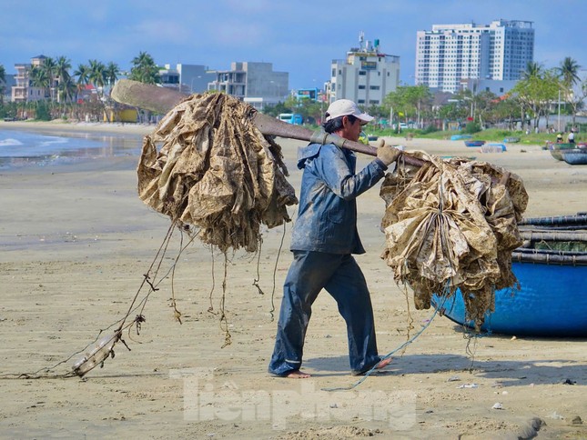 Kiếm bộn tiền với nghề 'săn' tôm hùm giống trên biển- Ảnh 3.