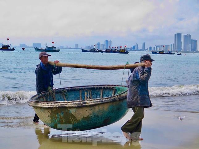 Kiếm bộn tiền với nghề 'săn' tôm hùm giống trên biển- Ảnh 4.