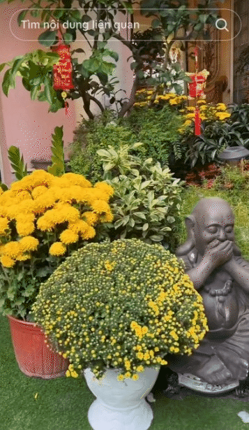 Phú bà kim cương quận 3 với kiểu tóc Phú bà kim cương quận 3 với kiểu tóc