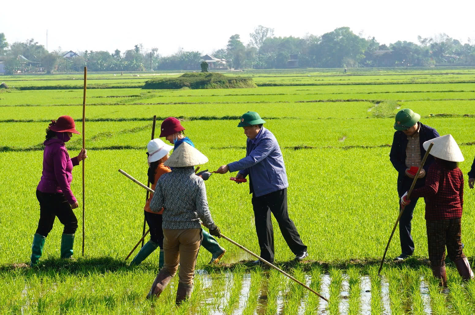 Lãnh đạo tỉnh Quảng Trị ra đồng lì xì cho nông dân- Ảnh 2.