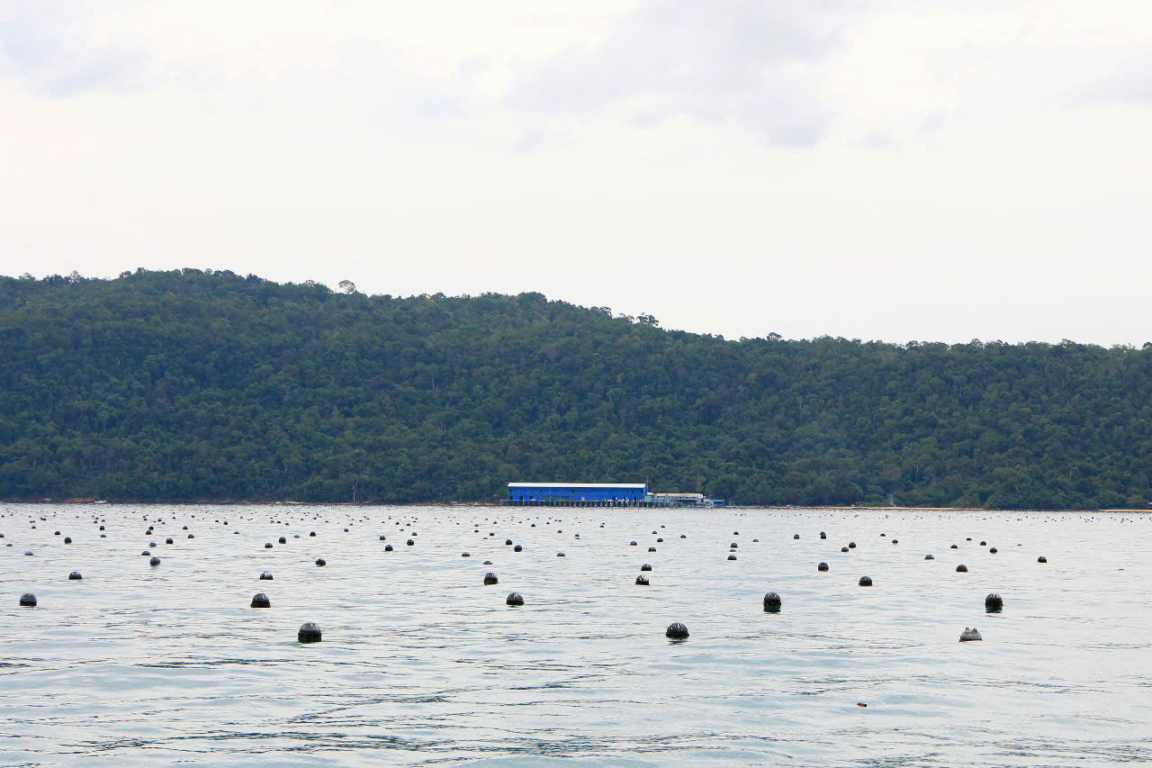 Chuyện đời ly kỳ của "vua ngọc trai" Phú Quốc- Ảnh 7.