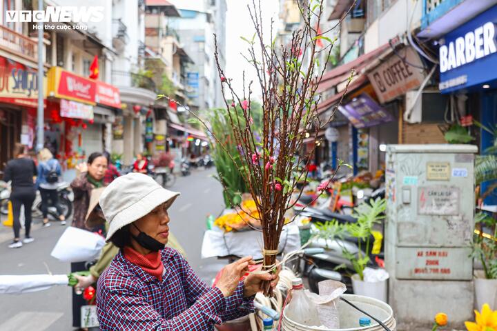 Giá hàng hóa sau Tết hạ 'nhiệt', cau vẫn cao ngất ngưởng- Ảnh 5.