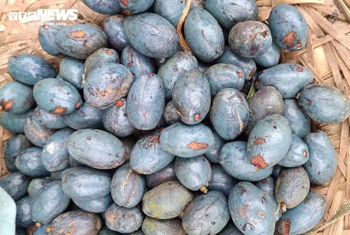 Loại quả rẻ tiền ở Phú Thọ bất ngờ thành đặc sản khó mua- Ảnh 2.