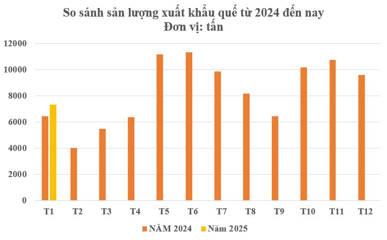 'Khai xuân' thu về 500 tỷ đồng, loại sản vật này của Việt Nam đang được Ấn Độ liên tục chốt đơn - Yên Bái, Thanh Hoá, Nghệ An trồng nhiều nhất- Ảnh 2.