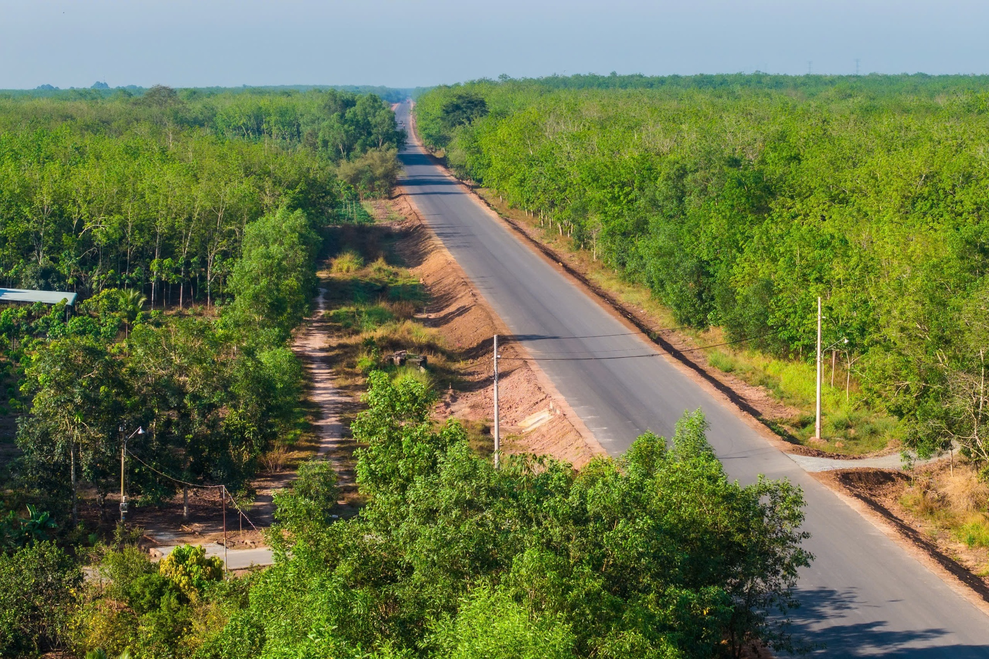 Cận cảnh đường Hồ Chí Minh qua tỉnh Bình Dương dự kiến thông xe kỹ thuật dịp 30-4- Ảnh 1.