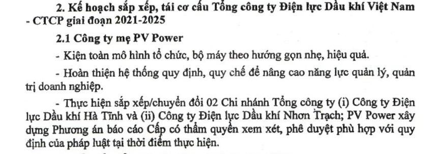 PV Power sau 4 năm chưa sắp xếp, chuyển đổi được 2 chi nhánh và thoái xong toàn bộ vốn tại 8 doanh nghiệp- Ảnh 2.