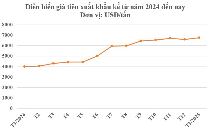 A type of world agricultural product is thirsty, but Vietnam owns more than 100,000 ha - USA, Germany constantly buys, the price increases the code - photo 2.