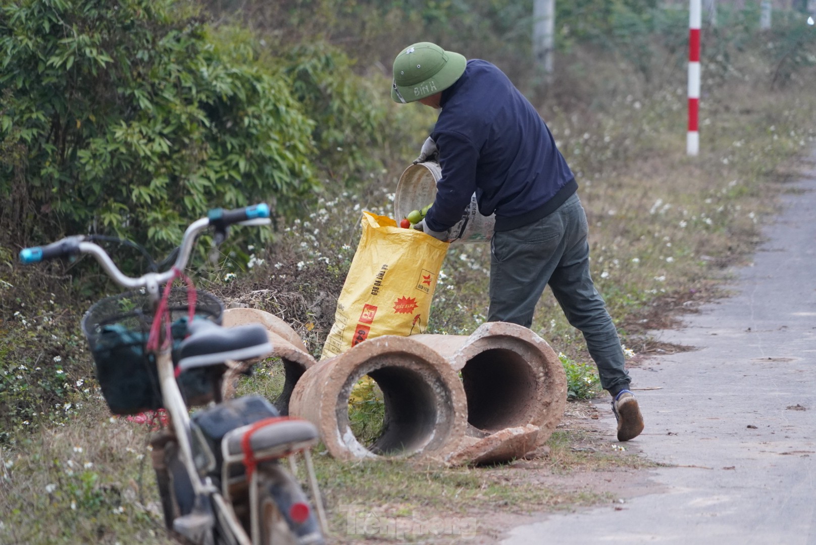 Hàng chục tấn cà chua chín đầy vườn không người mua- Ảnh 10.