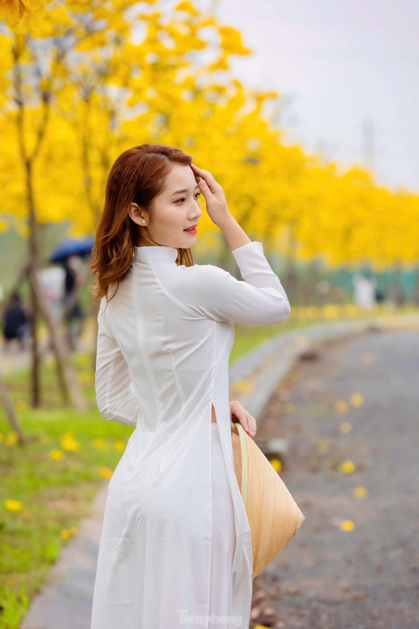 Hoa phong linh nở vàng rực rỡ, khoe sắc trong tiết trời mùa Xuân- Ảnh 9. Hoa phong linh nở vàng rực rỡ, khoe sắc trong tiết trời mùa Xuân- Ảnh 9.