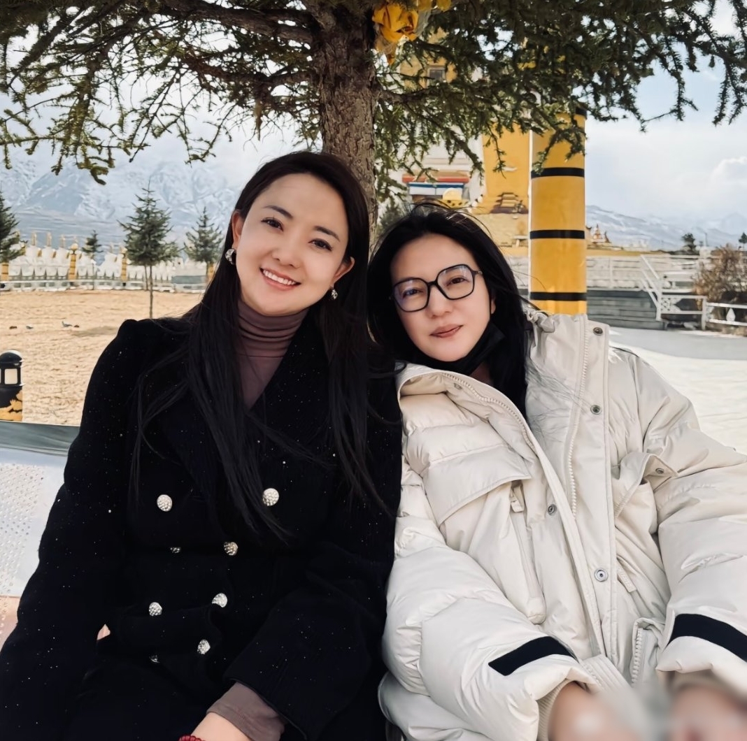 Nhan sắc gây sốc của Triệu Vy- Ảnh 2. Nhan sắc gây sốc của Triệu Vy- Ảnh 2.