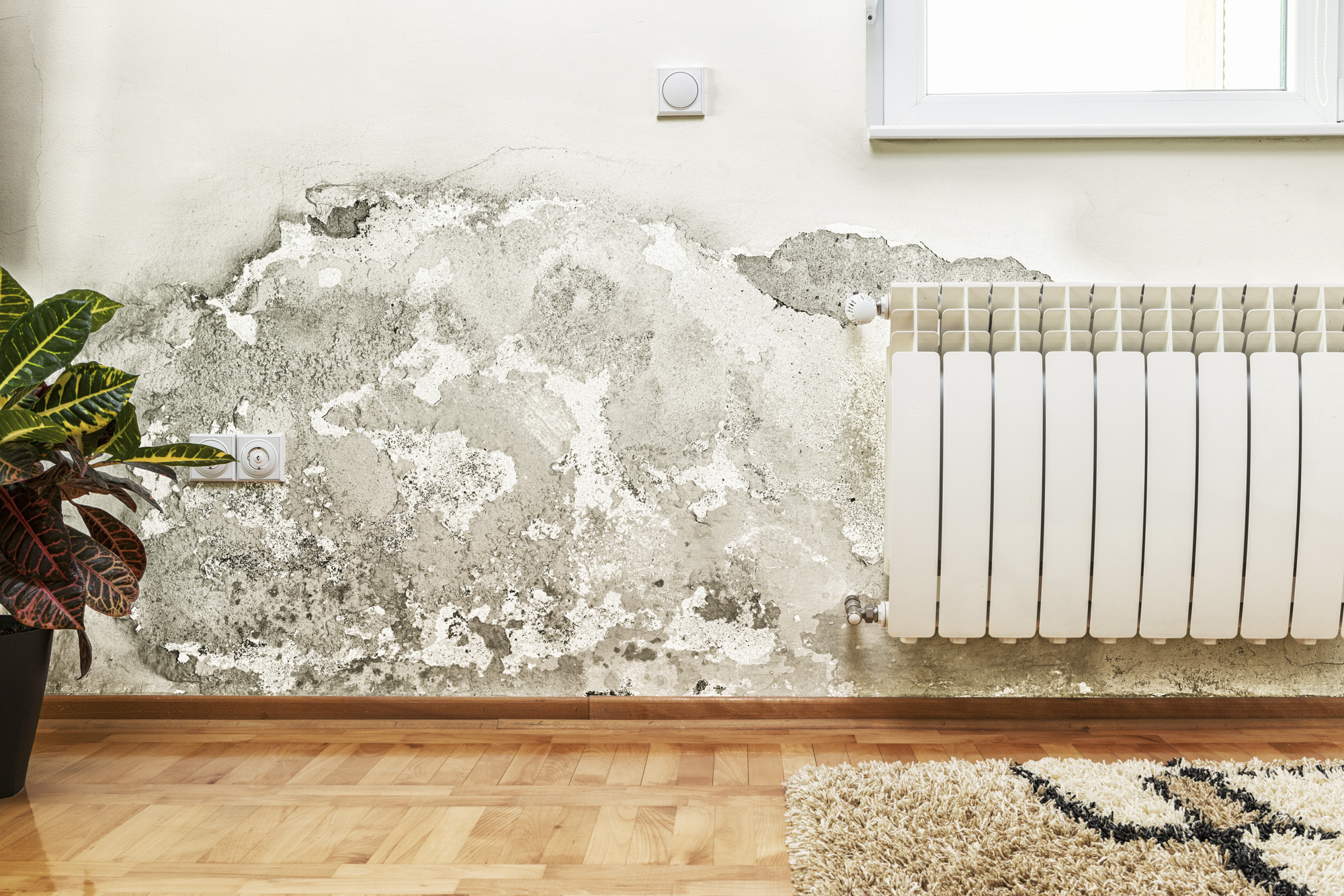 Có một chế độ bí mật trên điều hòa giúp nhà cửa khô ráo, dễ chịu bất ngờ!- Ảnh 3. Có một chế độ bí mật trên điều hòa giúp nhà cửa khô ráo, dễ chịu bất ngờ!- Ảnh 3.