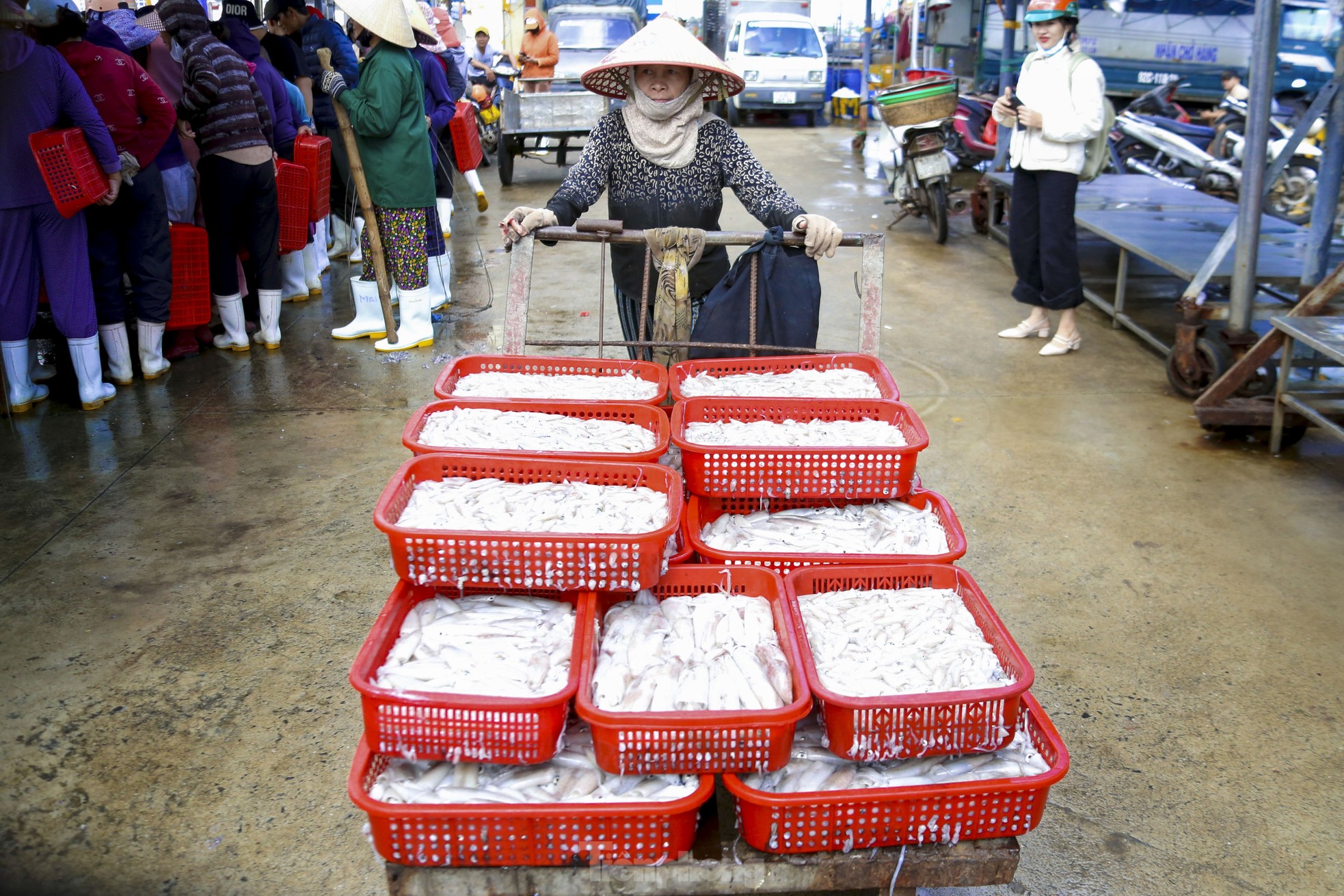 Mực tươi đầy ắp, mua bán nhộn nhịp ở cảng cá lớn nhất miền Trung- Ảnh 17.