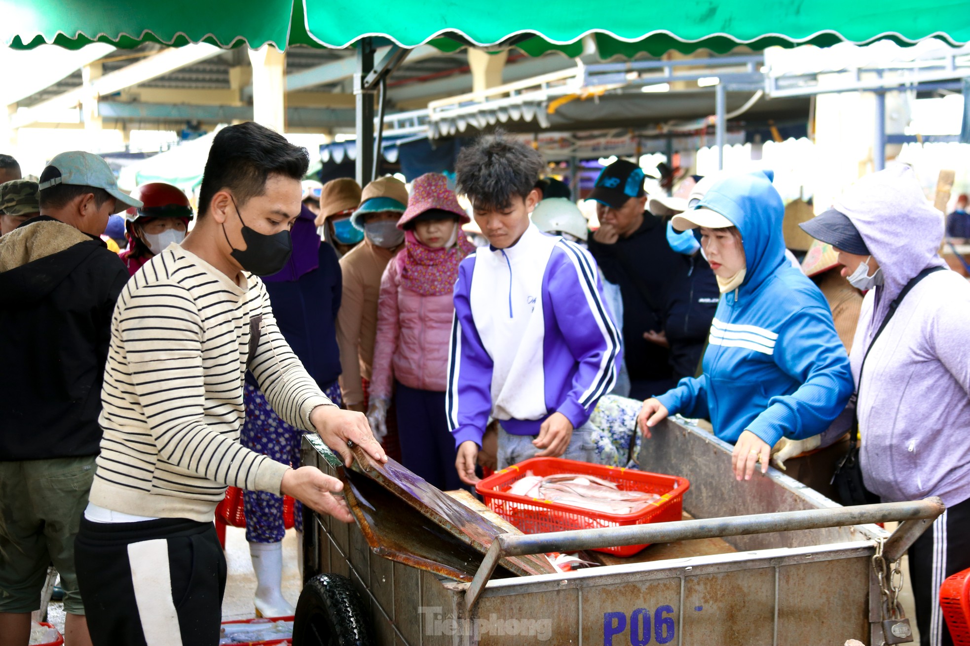 Mực tươi đầy ắp, mua bán nhộn nhịp ở cảng cá lớn nhất miền Trung- Ảnh 16.