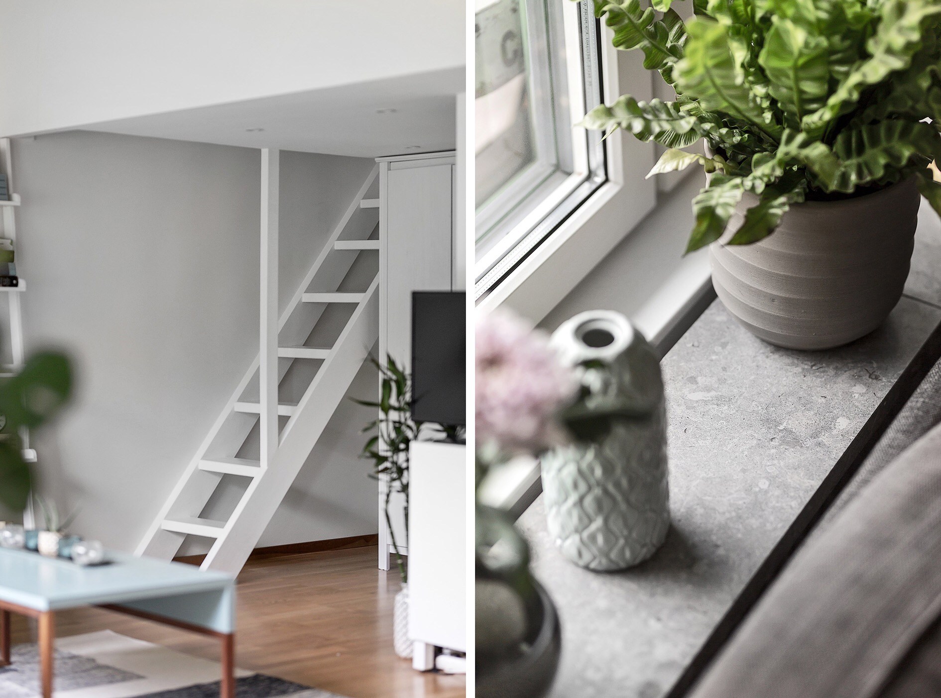 Sau 10 năm tích góp, người phụ nữ trung niên đã mua được căn hộ dù chỉ 40m² nhưng thiết kế đẹp Sau 10 năm tích góp, người phụ nữ trung niên đã mua được căn hộ dù chỉ 40m² nhưng thiết kế đẹp