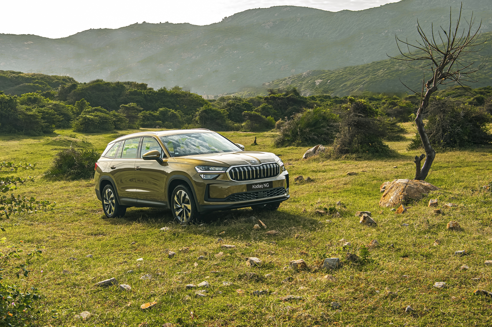 Skoda Kodiaq 2025 chốt giá từ 1,45 tỷ tại Việt Nam: 2 phiên bản, đều AWD, cạnh tranh Santa Fe với giá tiệm cận Palisade- Ảnh 18. Skoda Kodiaq 2025 chốt giá từ 1,45 tỷ tại Việt Nam: 2 phiên bản, đều AWD, cạnh tranh Santa Fe với giá tiệm cận Palisade- Ảnh 18.