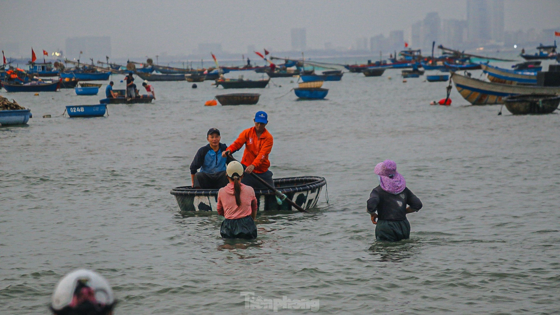 Mất mùa ruốc biển, ngư dân đứng ngồi không yên- Ảnh 3.