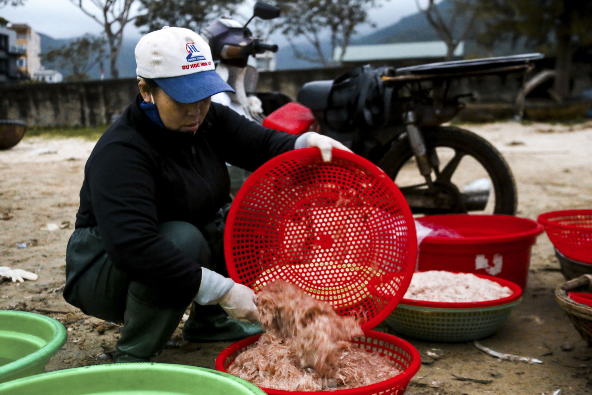 Mất mùa ruốc biển, ngư dân đứng ngồi không yên- Ảnh 15.