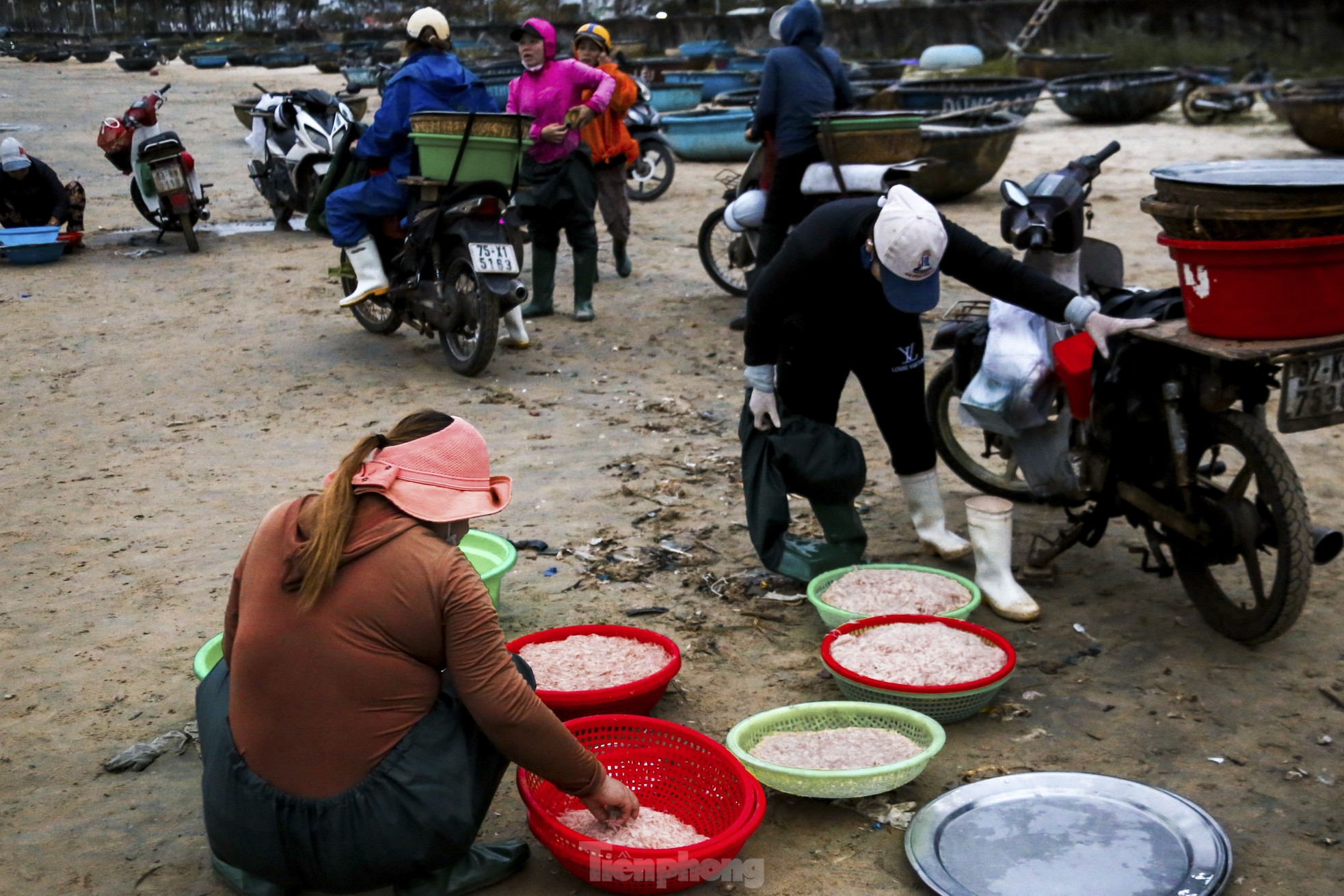 Mất mùa ruốc biển, ngư dân đứng ngồi không yên- Ảnh 5.