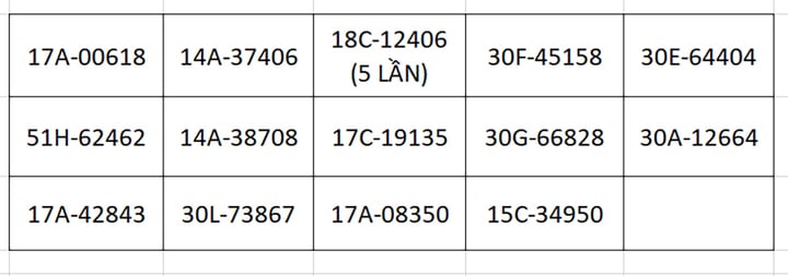 Danh sách 222 ô tô bị phạt nguội ở Thái Bình, có xe vượt đèn đỏ 5 lần- Ảnh 1.