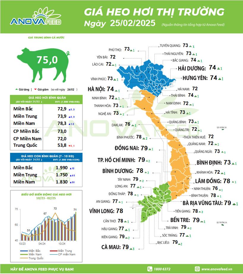 Giá heo hơi tăng nóng vượt 80.000 đồng/kg, các 