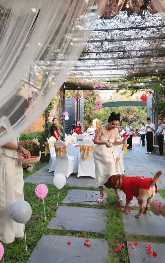 Nữ CEO tổ chức đám cưới cho chó cưng, tự nhận là "mẹ chồng", dành hẳn 1 phòng điều hòa cho "con dâu"- Ảnh 7.