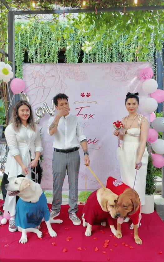 Nữ CEO tổ chức đám cưới cho chó cưng, tự nhận là "mẹ chồng", dành hẳn 1 phòng điều hòa cho "con dâu"- Ảnh 6.