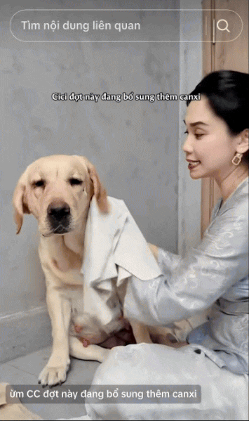 Nữ CEO tổ chức đám cưới cho chó cưng, tự nhận là "mẹ chồng", dành hẳn 1 phòng điều hòa cho "con dâu"- Ảnh 10.