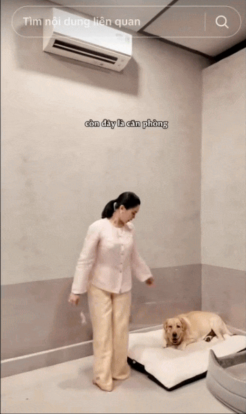 Nữ CEO tổ chức đám cưới cho chó cưng, tự nhận là "mẹ chồng", dành hẳn 1 phòng điều hòa cho "con dâu"- Ảnh 12.