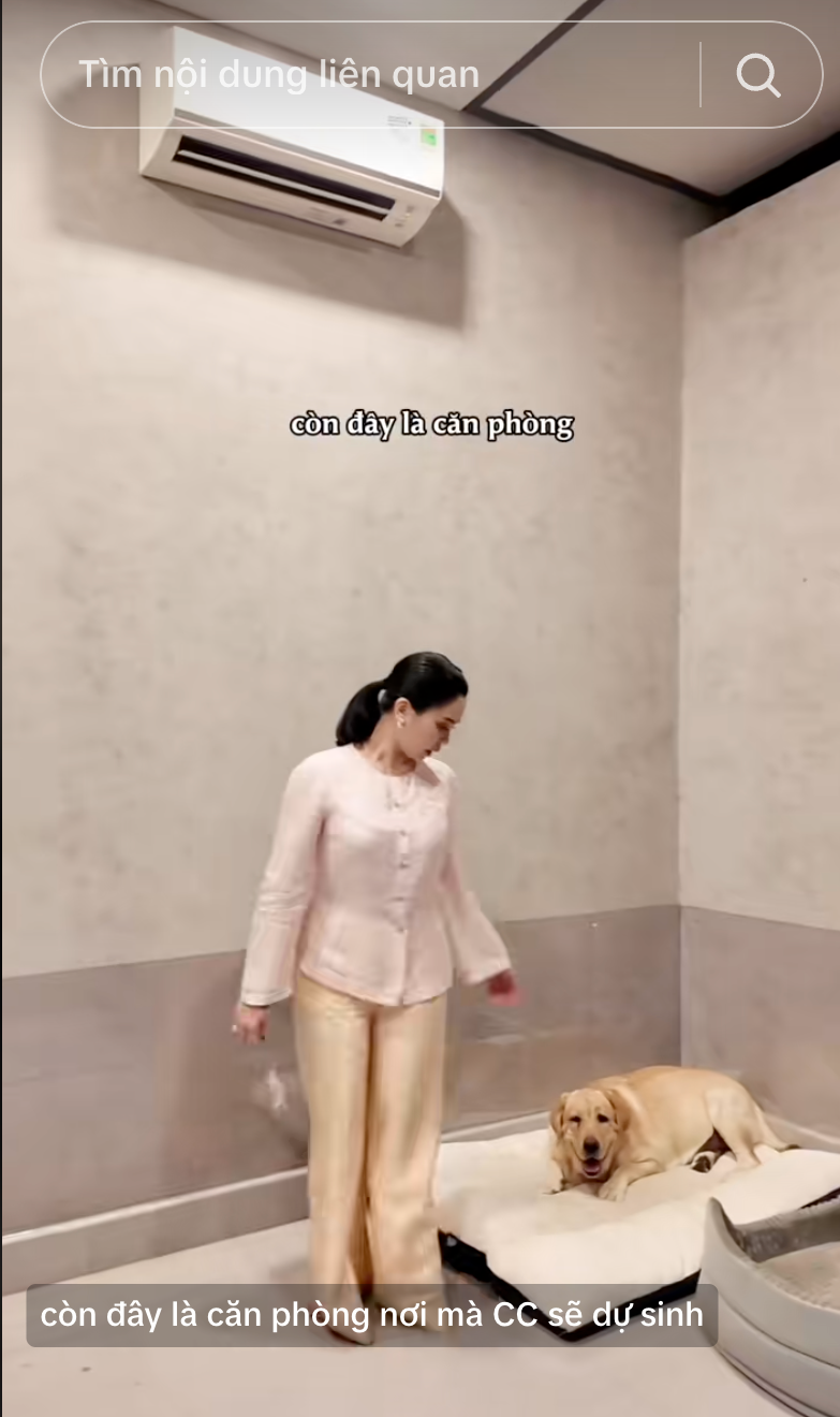 Nữ CEO tổ chức đám cưới cho chó cưng, tự nhận là "mẹ chồng", dành hẳn 1 phòng điều hòa cho "con dâu"- Ảnh 11.