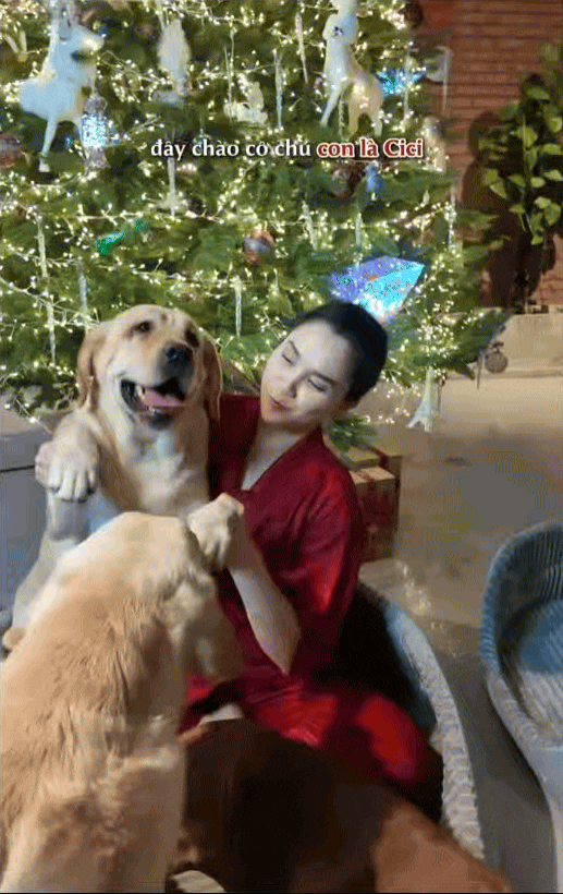 Nữ CEO tổ chức đám cưới cho chó cưng, tự nhận là "mẹ chồng", dành hẳn 1 phòng điều hòa cho "con dâu"- Ảnh 4.